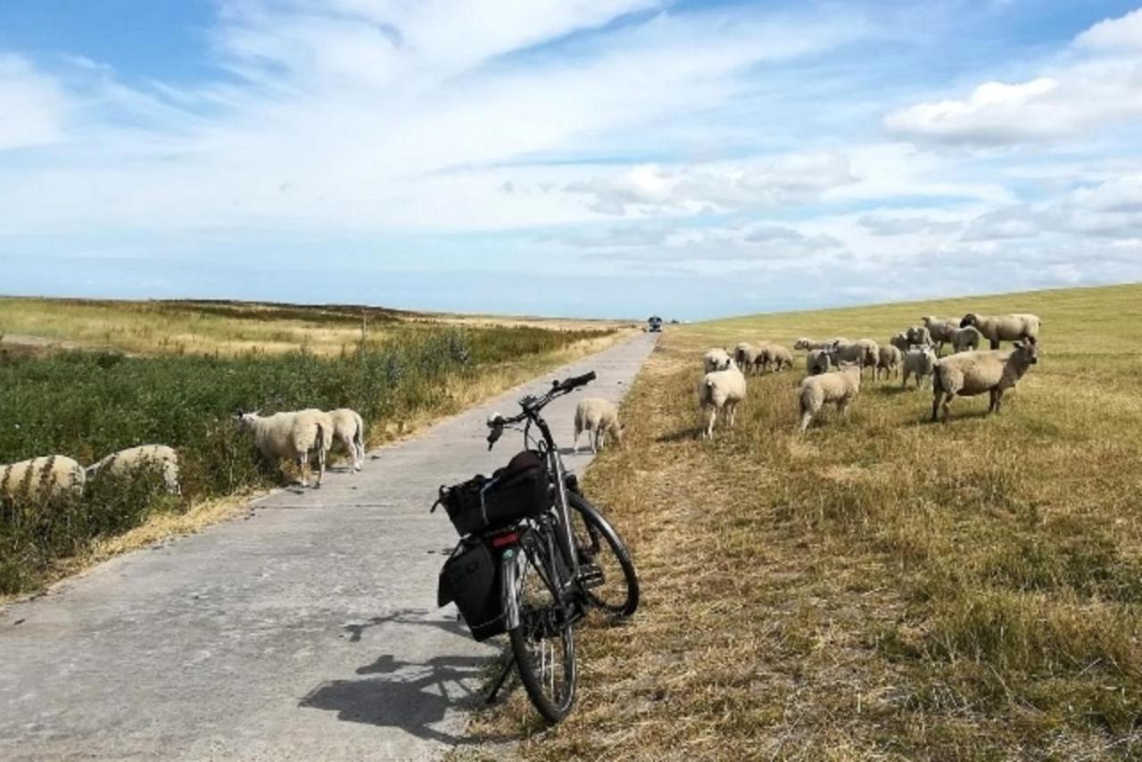 Вилла Aseler Nordseestube Витмунд Экстерьер фото